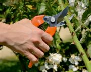 ΨΑΛΙΔΙ ΧΕΙΡΟΣ PG-12-F