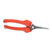 ΨΑΛΙΔΙ ΑΜΠΕΛΟΥ Ρ128-19 ©