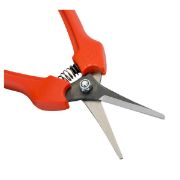 ΨΑΛΙΔΙ ΑΜΠΕΛΟΥ Ρ128-19 ©