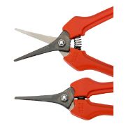 ΨΑΛΙΔΙ ΑΜΠΕΛΟΥ Ρ128-19 ©