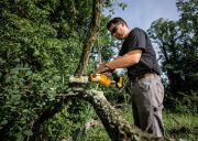 Dewalt Αλυσοπρίονο Μπαταρίας 18V με Λάμα 20cm Solo DCMPS520N-XJ